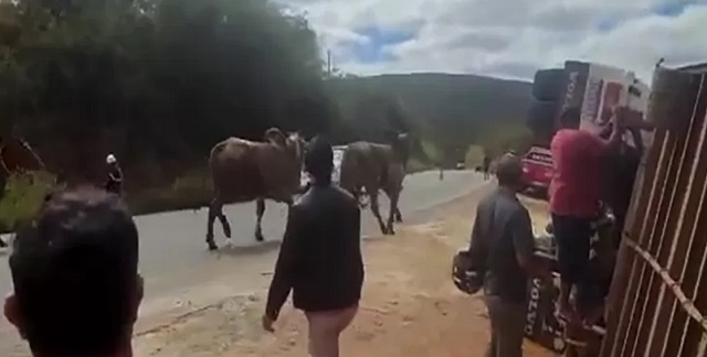 Foto: Achei Sudoeste 