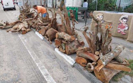 Foto: Paulo José/Acorda Cidade