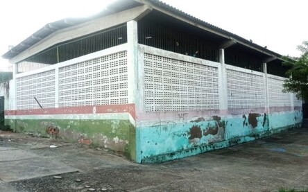 Amendoim