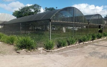 Laboratório do Horto Florestal_ Foto Ed Santos Acorda Cidade (1)