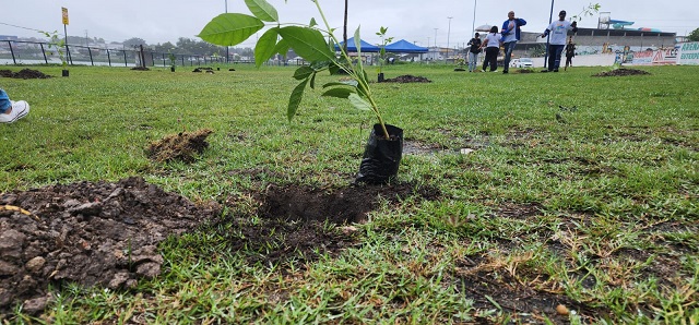 Dia Mundial do Meio Ambiente