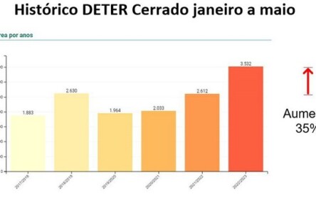 Foto: Deter/Divulgação