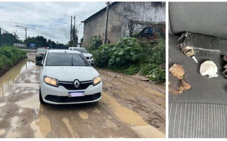 Foto: Polícia Civil