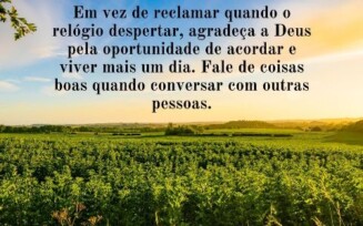 Mensagem do Dia