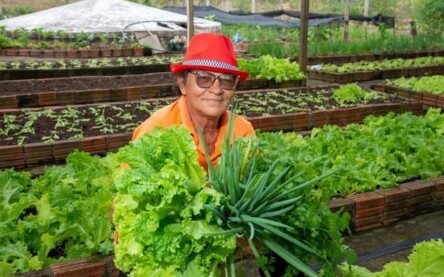 Agricultora Rural