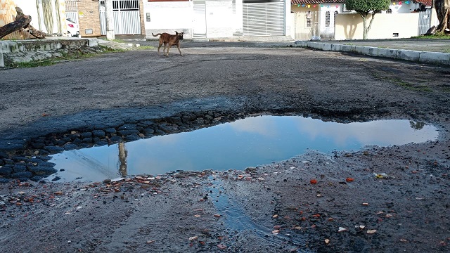 Conjunto Wilson Falcão