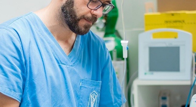 Veterinário