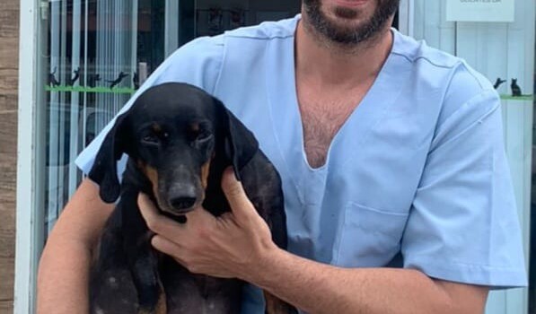 Veterinário