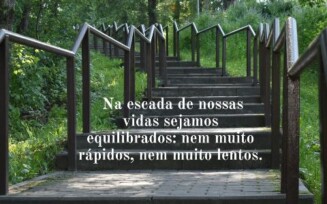 Bom dia