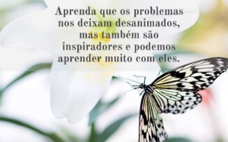 A vida e o aprendizado
