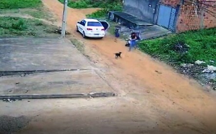 Foto: Reprodução/Câmera de segurança