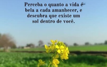 Esperança e sabedoria