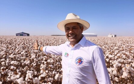 Governador da Bahia