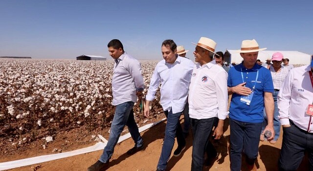 Governador da Bahia