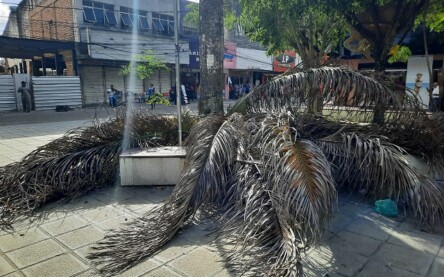 Foto: Ney Silva/Acorda Cidade