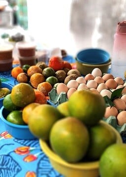 Feira da agricultura familiar - sindicato dos trabalhadores rurais6