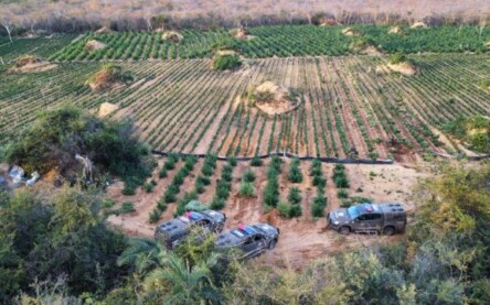 Foto: Cipe Chapada/SSP-BA