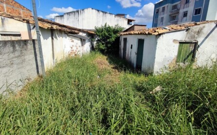 Foto: Encaminhada via WhatsApp