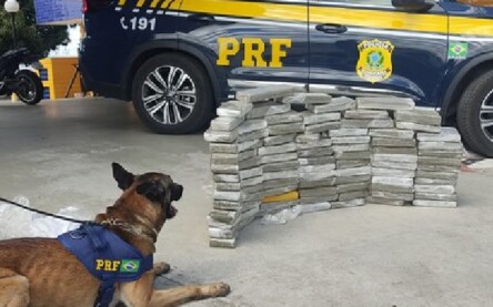 Foto: Divulgação/PRF