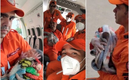 Foto: Corpo de Bombeiros/SSP-BA