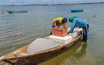 Pescadores
