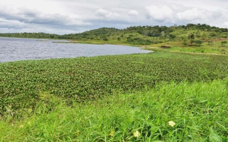 Rio Jacuípe