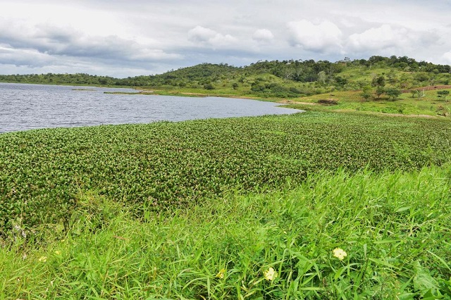 Rio Jacuípe