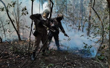 Foto: Força Nacional de Segurança Pública
Geral