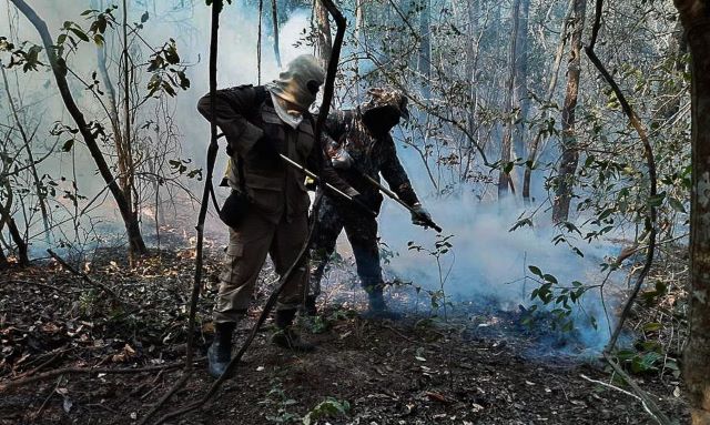 Foto: Força Nacional de Segurança Pública
Geral