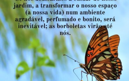Cuide do seu jardim
