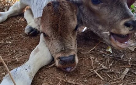 Foto: Arquivo Pessoal