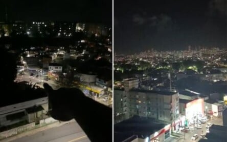 Foto:  Reprodução