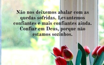 Abrindo a janela