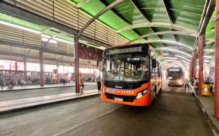 transporte publico ônibus terminal central foto andrews pedra branca 01