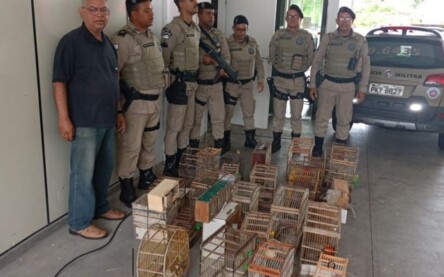 Foto: Divulgação