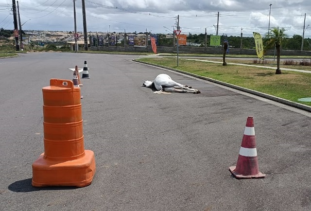 Foto: Paulo José/Acorda Cidade