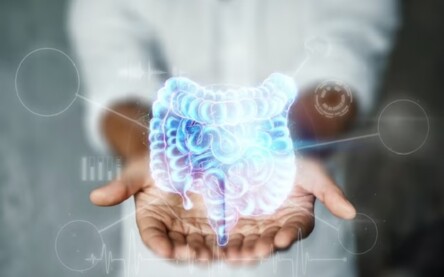 intestino