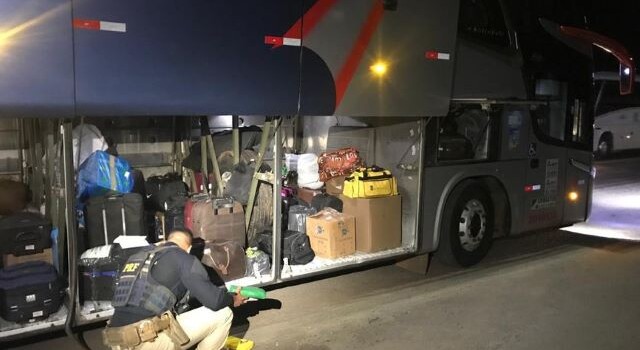Passageira de ônibus é detida transportando drogas durante operação da PRF