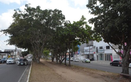 Fraga Maia