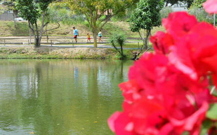 PARQUE-ERIVALDO-CERQUEIRA-FOTO-VALDENIR-LIMA