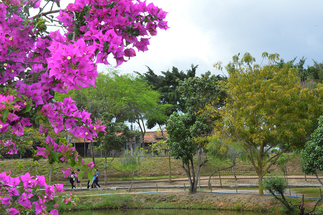 PARQUE-ERIVALDO-CERQUEIRA-FOTO-VALDENIR-LIMA