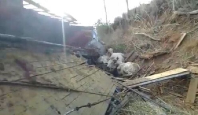 caminhão com gado capota no sudoeste do estado