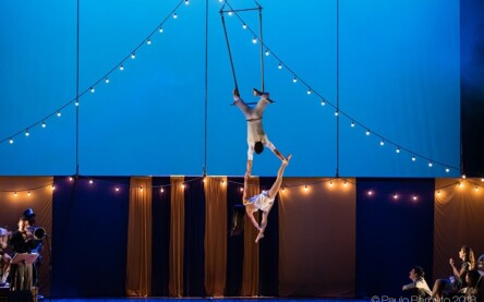 artista de circo, ft paulo barbuto