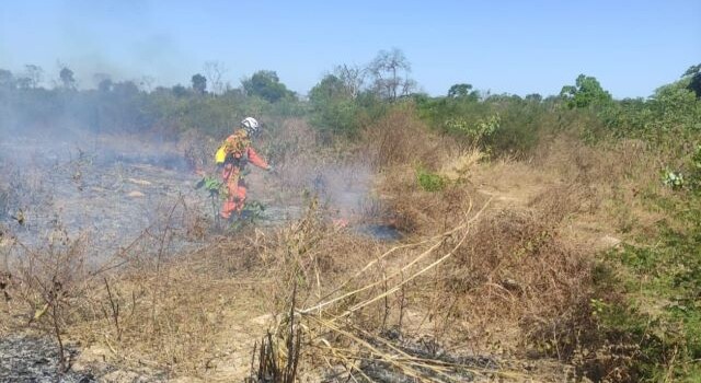 incêndios florestais que atingem o interior da Bahia, nas regiões Oeste, Norte e Chapada Diamantina.