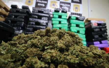 Ações de inteligência das forças estaduais e federal de Segurança Pública contra o crime organizado resultaram na apreensão de drogas