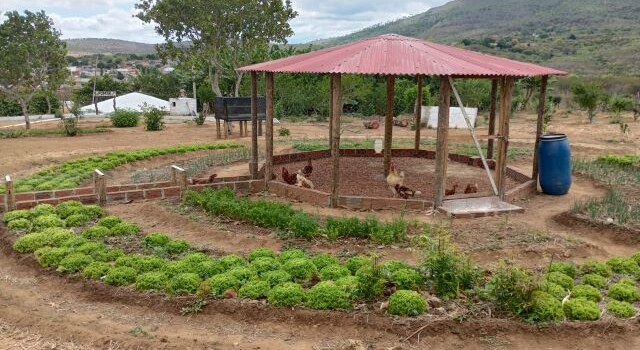 escola agrícola em Ruy Barbosa