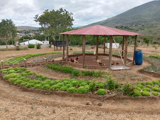 escola agrícola em Ruy Barbosa