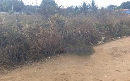 conceição do jacuípe - lugar de desova