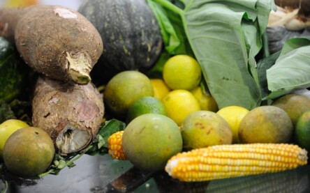 Veganismo