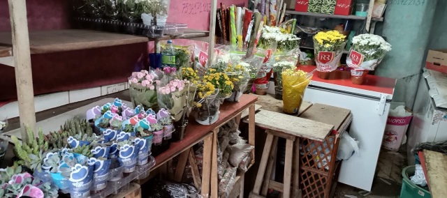 flores e floristas na olimpio vitral ft Paulo José acorda cidade5